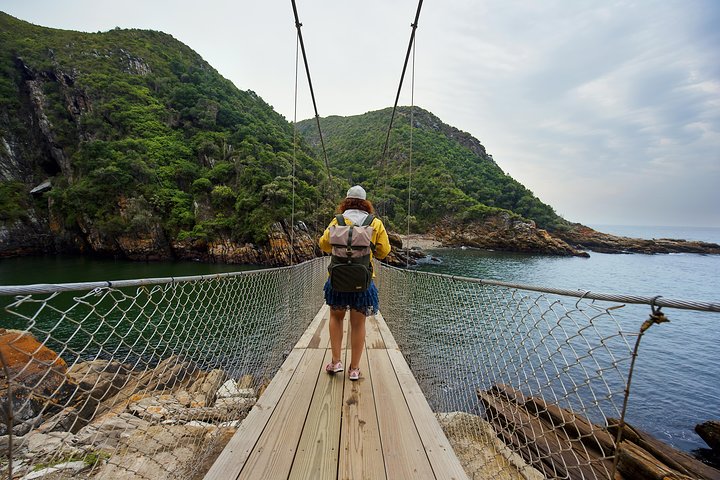 From Cape Town: 2-Nights, 3-Days Garden Route private tour - Image 1