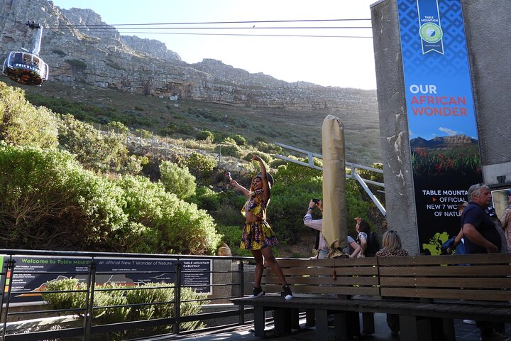 From Cape Town: Table Mountain, Cape of Good Hope & Penguins including Park Fees - Image 4