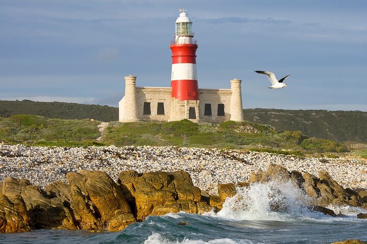 Full day Cape Agulhas Private Tour  - Image 2