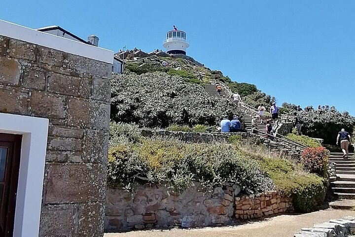 Full Day Cape Peninsula, Cape Point Tour - Image 1