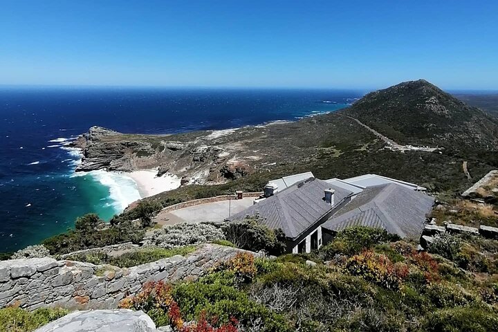 Full Day Cape Peninsula, Cape Point Tour - Image 4