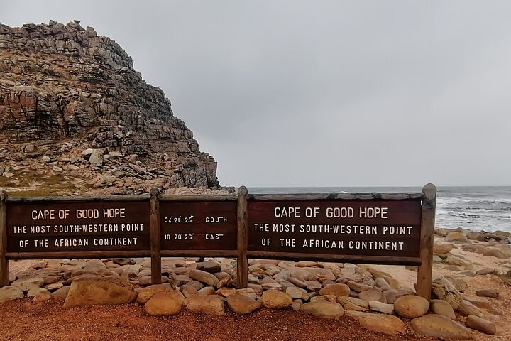 Full Day Cape Peninsula, Cape Point Tour - Image 5