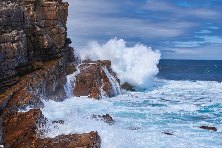 Full Day Cape Peninsula Tour in Private Car  - Image 3