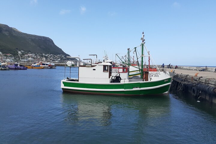 Full Day Cape Point Peninsula Tour - Image 2