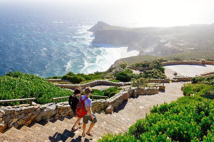 Full Day Cape Point Sightseeing Tour - Image 2