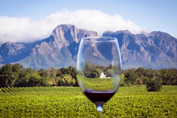 Full day Cape Town Private Hosted Wine Tasting Experience - Image 3