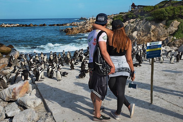 Full-Day Cape Town Private Transfers and Chauffeur Services - Image 3