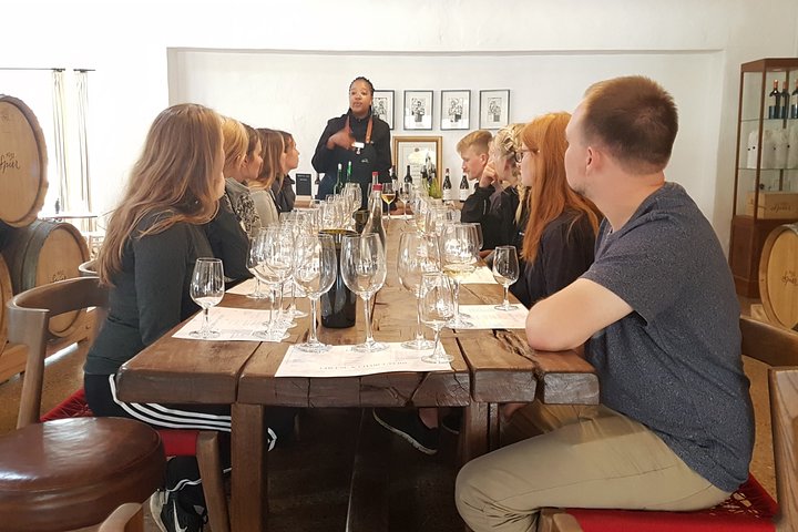 Full day Cape Winelands ( Stellenbosch and Franschoek ) - Image 3