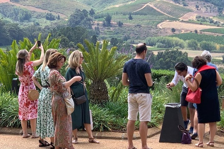 Full Day Constantia Wine Tasting and Table Mountain. - Image 5