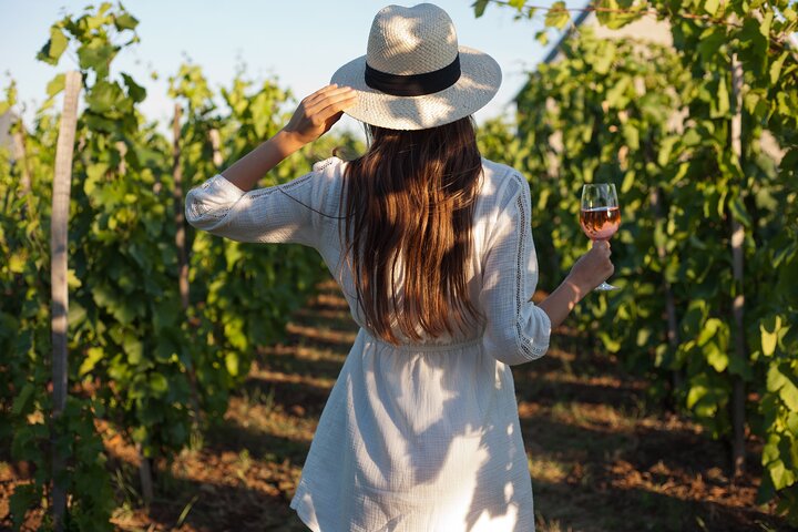 Full Day Constantia Wine Tasting and Table Mountain. - Image 1
