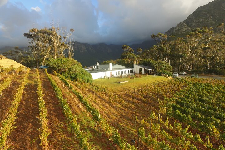 Full-Day Constantia Wine Tour from Cape Town - Image 2