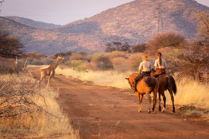 Full-Day Horseback Safari and Wine Tasting Private Guided Tour - Image 1