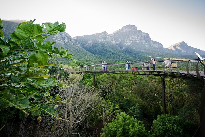 Full day peninsula Cape Point, Seals, HoutBay, Chapmans Peak, Penguins - Image 3