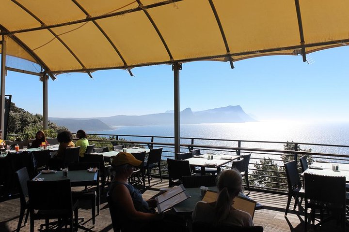 Full day peninsula Cape Point, Seals, HoutBay, Chapmans Peak, Penguins - Image 4