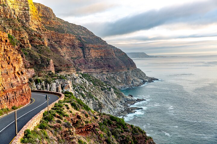 Full Day Private Cape Point & Penguins Trip in South Africa - Image 5
