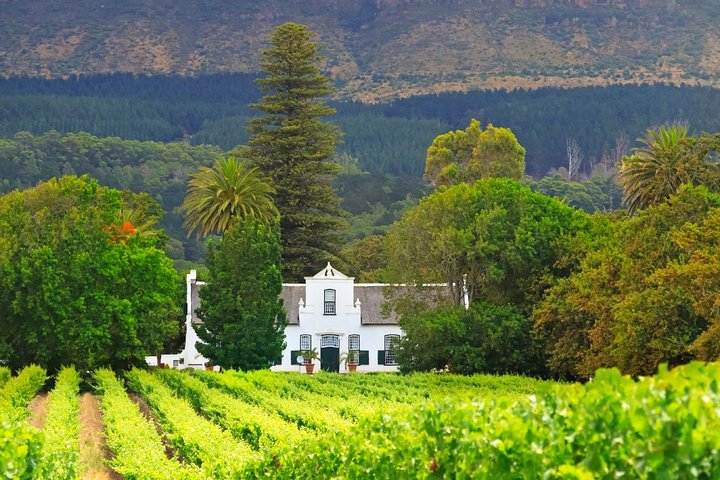 Full Day Private Constantia Winelands Tour with Lunch - Image 2