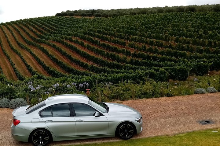 Full-Day Private Guided Wine Tasting Tour of Cape Wineries - Image 5