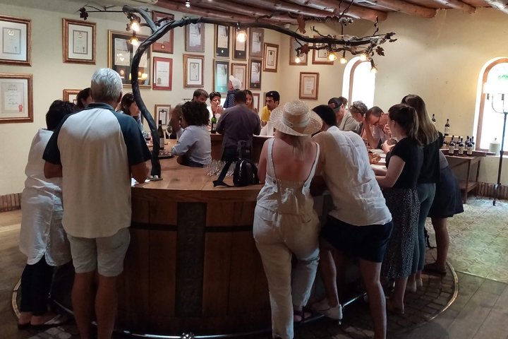 Full-Day Private Guided Wine Tasting Tour of Cape Wineries - Image 2