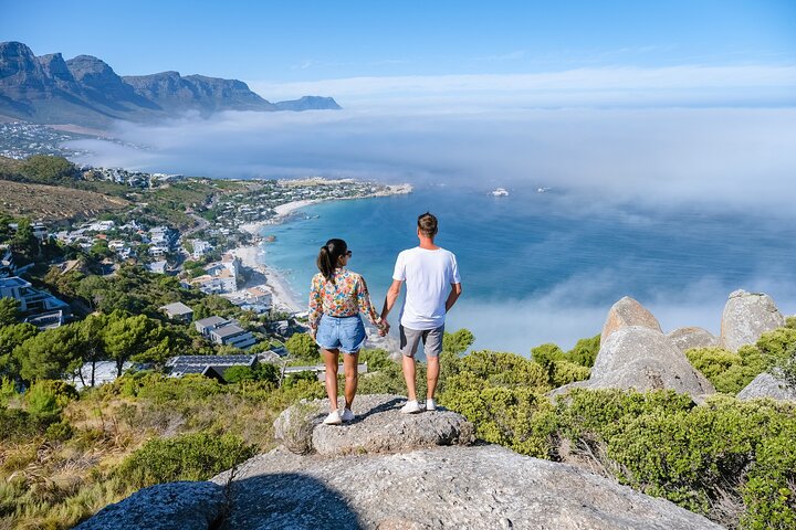Full Day Private Shore Tour In Cape Town From Cape Town Port - Image 1