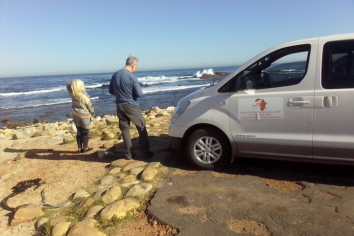 Full Day Private Tour in Cape of Good Hope and Simon's Town - Image 3