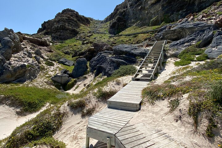 Full Day Private Tour to Boulders Beach from Cape Town - Image 2