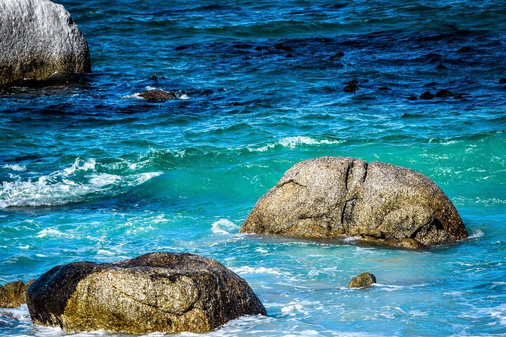 Full Day Private Tour to Boulders Beach from Cape Town - Image 5