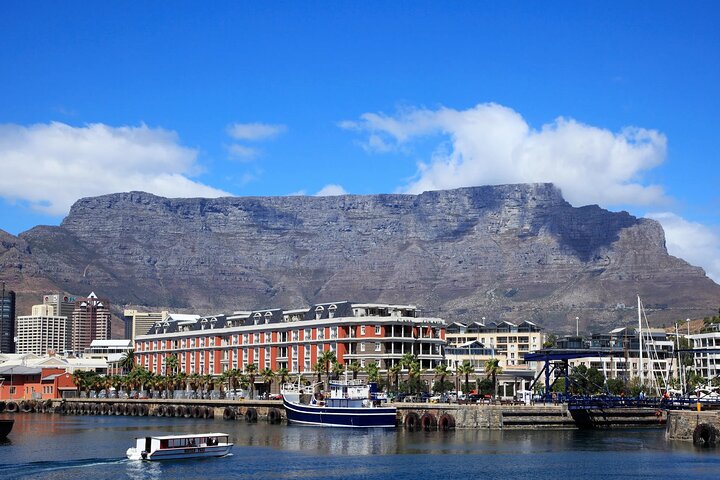 Full Day Private Tour to Cape of Good Hope & penguins Cape Point - Image 1
