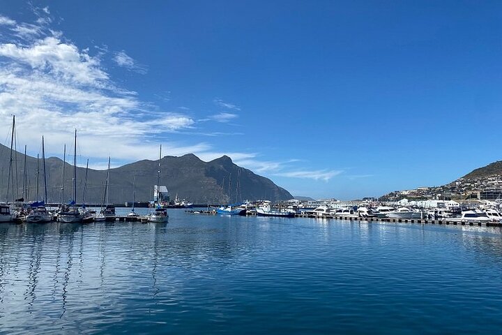 Full Day Private Tour to Cape of Good Hope & penguins Cape Point - Image 5