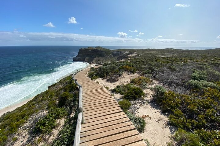 Full Day Private Tour to Cape of Good Hope & penguins Cape Point - Image 3