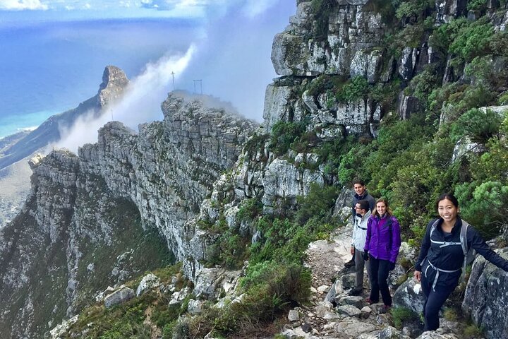 Full Day Private Tour to Cape of Good Hope & penguins Cape Point - Image 2
