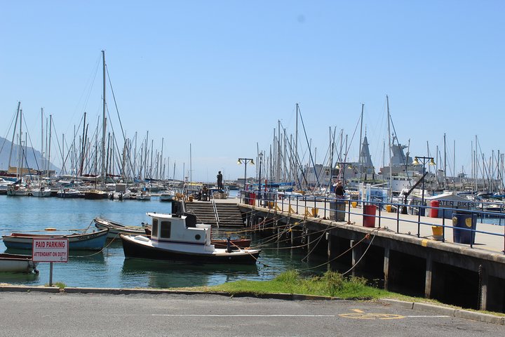 Full Day visit to Cape Point Cape of Good Hope for Special needs from Cape Town  - Image 4