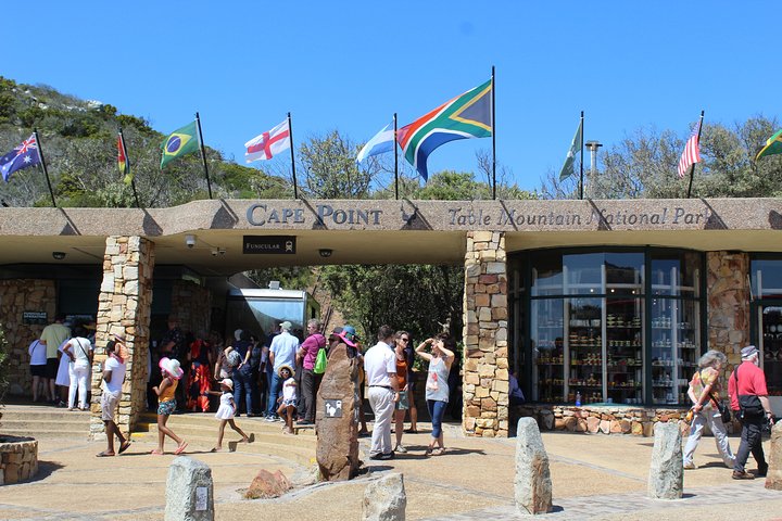 Full Day visit to Cape Point Cape of Good Hope for Special needs from Cape Town  - Image 1