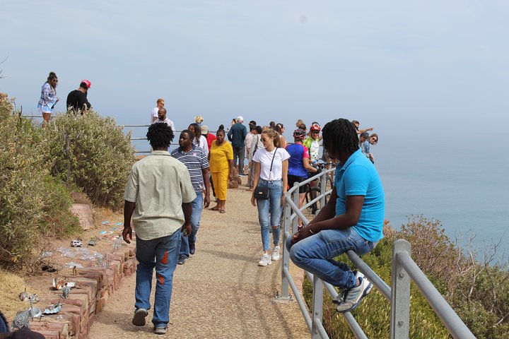 Full Day visit to Cape Point Cape of Good Hope for Special needs from Cape Town  - Image 5