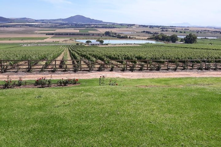 Full Day Wine Tasting in Stellenbosch, Franschoek & Paarl fees included - Image 2