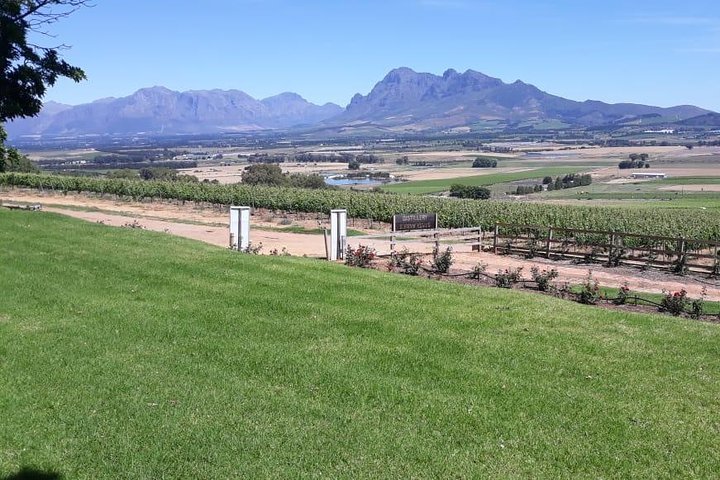 Full Day Wine Tasting in Stellenbosch, Franschoek & Paarl fees included - Image 1