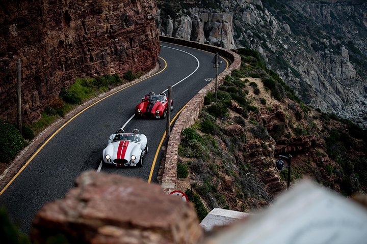 Full Peninsula Cobra Experience - Self drive sightseeing on the Cape Peninsula - Image 4