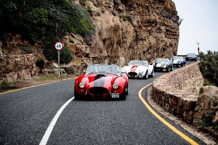 Full Peninsula Cobra Experience - Self drive sightseeing on the Cape Peninsula - Image 5