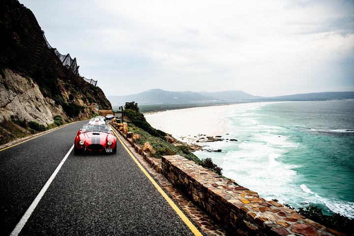 Full Peninsula Cobra Experience - Self drive sightseeing on the Cape Peninsula - Image 3