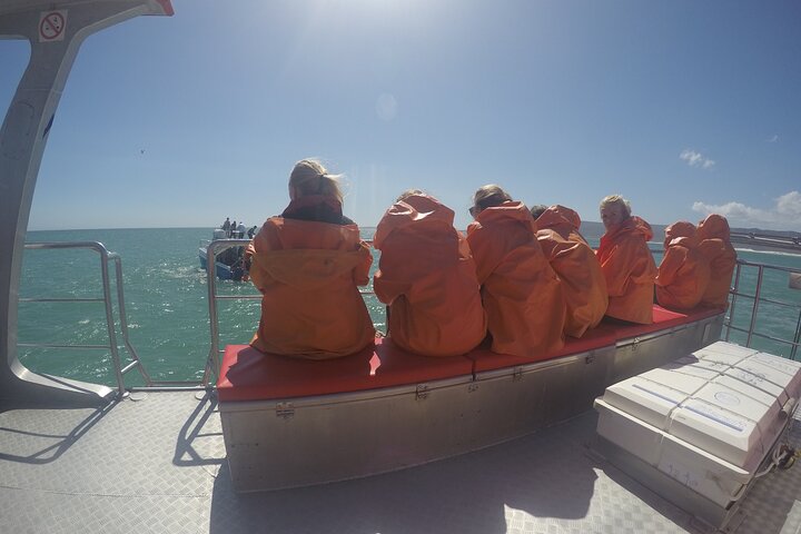 Garden Route Tour In 3 nights - Image 5
