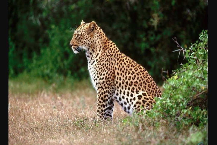 Garden Route & Wild Coast Tour From Cape Town to Durban - 7 day Tour - Image 3