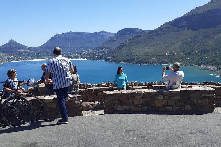 Half day African Penguin Tour - Image 2