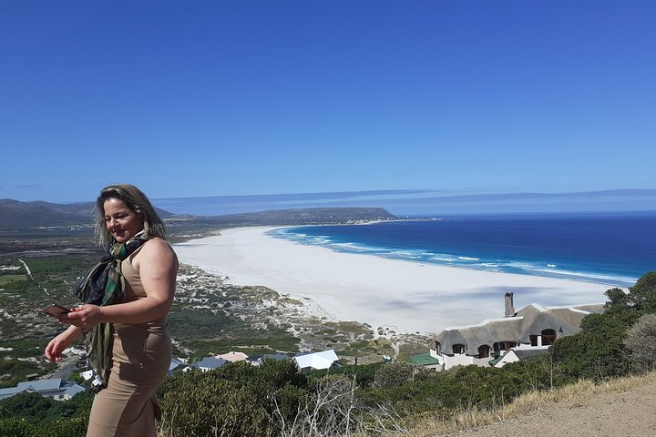 Half day African Penguin Tour - Image 5