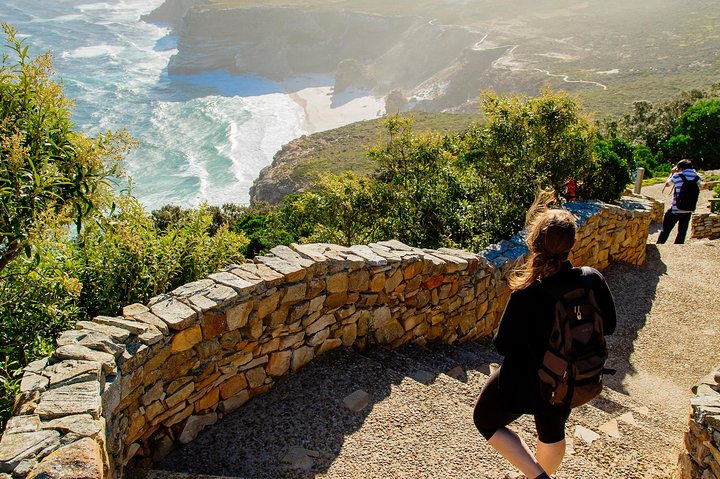 Half day am or pm Boulders Beach & Penguins with visit to Cape Point Great tour - Image 3