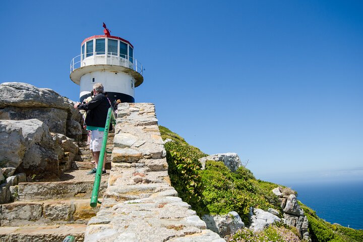 Half day am or pm Boulders Beach & Penguins with visit to Cape Point Great tour - Image 4