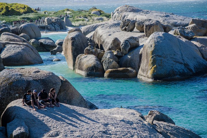 Half day am or pm Boulders Beach & Penguins with visit to Cape Point Great tour - Image 2