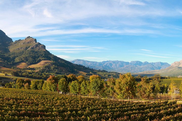 Half Day Private Cape Winelands Tour - Image 1