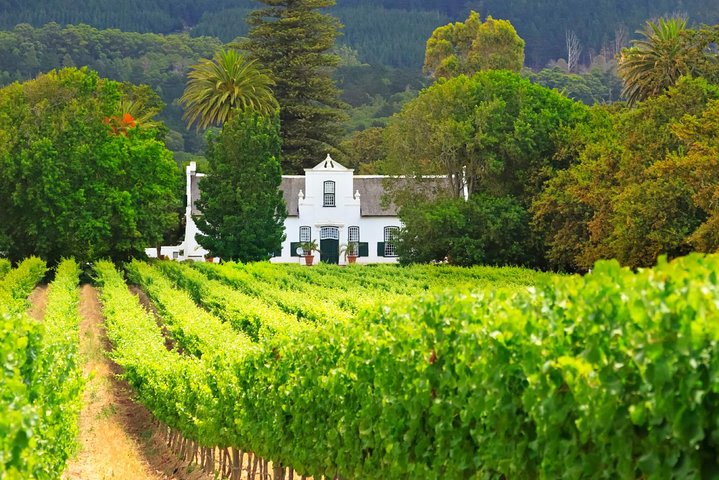 Half Day Private Cape Winelands Tour - Image 4