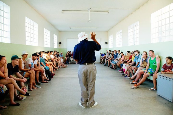 Half-Day Robben Island tour with private return transferes - Image 4