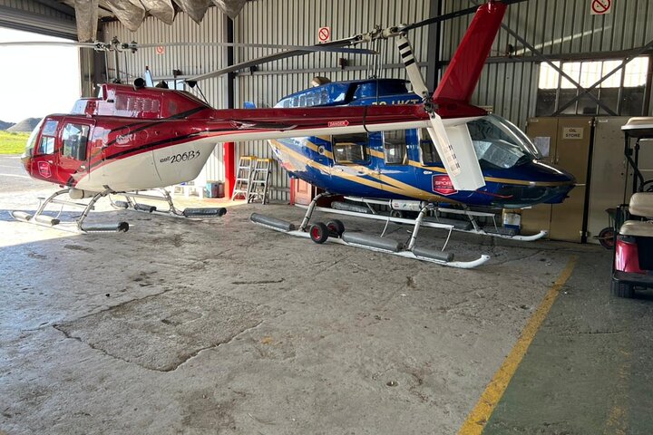 Helicopter, Boat Cruise, Big 5 Safari and Winelands Scenic Experience in 4 Days. - Image 1
