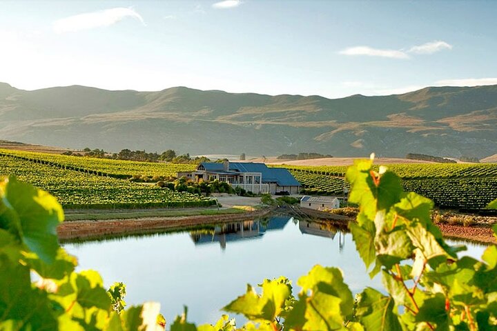Hermanus Whale Coast Wine Tour - Image 2